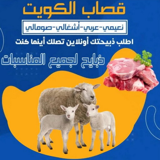 قصاب - جزار - ذبائح - ابوحسين📞55634410 - ذبايح - ذبائح الكويت - قصاب متنقل - قصاب الجهراء - غنم للبيع - اغنام للبيع - ذبايح للبيع - غنم - سوق غنم - اغنام عربى للبيع
